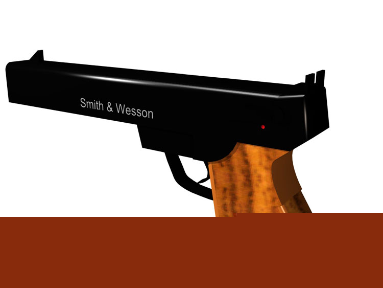 pistola2